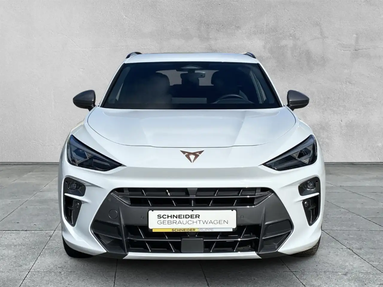 Cupra Terramar 1.5 eTSI DSG AHK+LED+HUD+NAVI+KLIMA+ACC, миниатюра 8