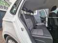 Volkswagen Golf Sportsvan Golf Comfortline Sportsvan 1,2 TSI **LED**PARKS.** Weiß - thumbnail 20