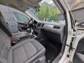 Volkswagen Golf Sportsvan Golf Comfortline Sportsvan 1,2 TSI **LED**PARKS.** Weiß - thumbnail 15