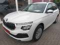 Skoda Kamiq KAMIQ SELECTION LED+KLIMAAUT+SHZ+GARANTIE 2029!! Weiß - thumbnail 1