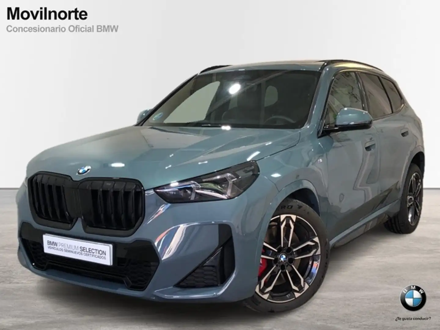 BMW X1 xDrive 20dA Verde - 1