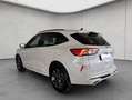Ford Kuga 1.5 EcoBoost ST-LINE X Bianco - thumbnail 4