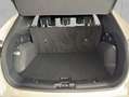 Ford Kuga 1.5 EcoBoost ST-LINE X Weiß - thumbnail 6