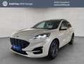 Ford Kuga 1.5 EcoBoost ST-LINE X Weiß - thumbnail 1