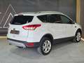 Ford Kuga 2.0 tdci Titanium 4wd s Bianco - thumbnail 5