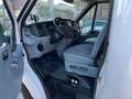 Ford Transit Camper Rimor Bianco - thumbnail 3