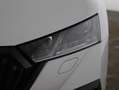Skoda Octavia 4x4 RS TDI DSG Weiß - thumbnail 21
