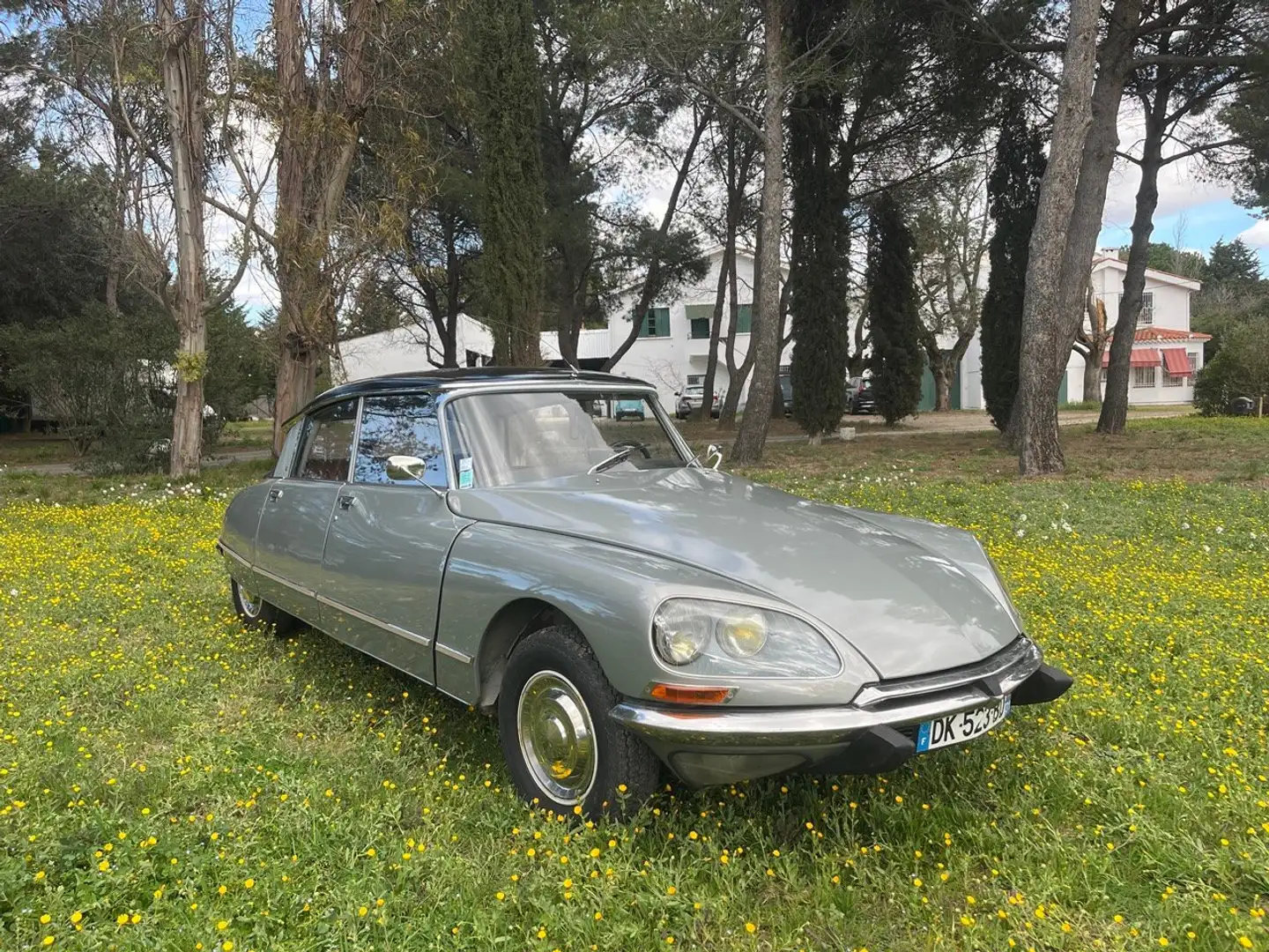 Citroen DS 21 INJECTION PALLAS Gris - 2