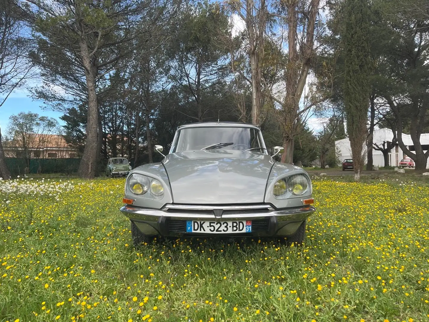 Citroen DS 21 INJECTION PALLAS Grijs - 1