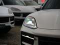 Porsche Cayenne E-Hybrid Coupé SPORTDESIGN-PAKET-ACC-PANO-BEIGE Beige - thumbnail 14