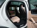 Porsche Cayenne E-Hybrid Coupé SPORTDESIGN-PAKET-ACC-PANO-BEIGE Beige - thumbnail 42