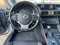 Lexus IS 300 IS III 2017 300h 2.5 Executive cvt Grau - thumbnail 8