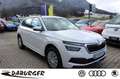 Skoda Kamiq 1.0 TSI Active Sitzheizung+SmartLink Klima Bianco - thumbnail 1