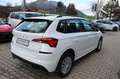 Skoda Kamiq 1.0 TSI Active Sitzheizung+SmartLink Klima Bianco - thumbnail 4