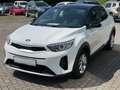 Kia Stonic Edition 7, 1.Hand, Lenkradheizung, Sitzheizung, Ca Weiß - thumbnail 2