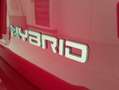 Fiat Panda Panda III 2021 Cross 1.0 firefly hybrid Cross s Rouge - thumbnail 6