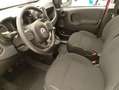 Fiat Panda Panda III 2021 Cross 1.0 firefly hybrid Cross s Rouge - thumbnail 5