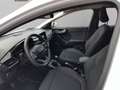 Ford Puma 1.0 EcoBoost 92kW (125cv) Titanium MHEV Alb - thumbnail 8