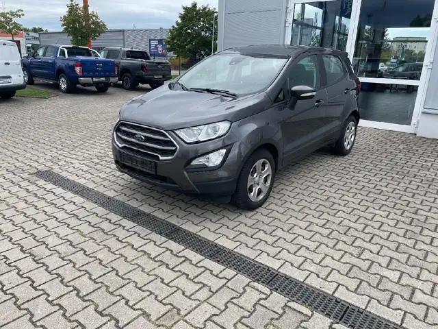 Ford EcoSport Winterpaket