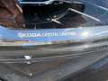 Skoda Superb Superb Kombi 2,0 TDI Style DSG Style Schwarz - thumbnail 9