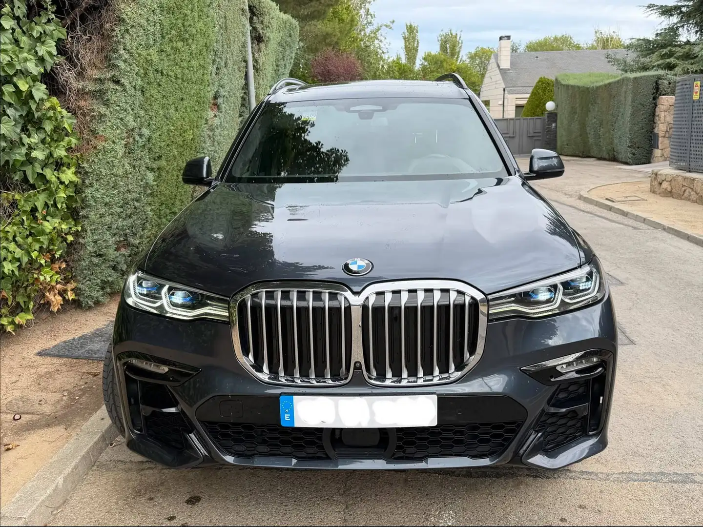 BMW X7 X7 xDrive 40dA Gris - 2