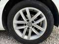 Volkswagen Golf 1.5 TSI Evo BM Last Edition 96kW Blanco - thumbnail 15