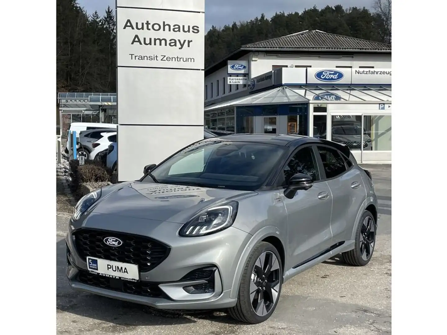 Ford Puma ST-Line X Zilver - 2