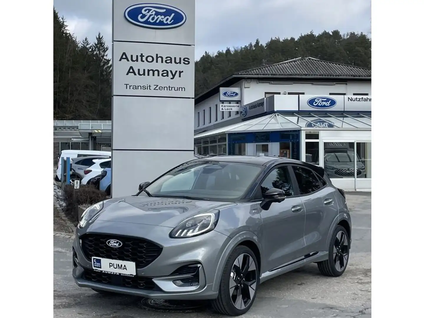 Ford Puma ST-Line X Zilver - 1