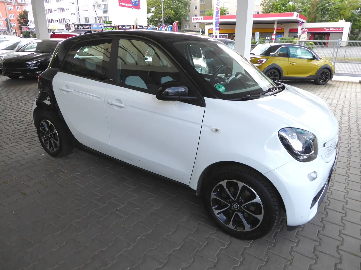 smart forFour passion  --PANORAMADACH-- Blanco - 2