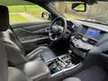 Infiniti Q70 Q70 2.2d Sport Schwarz - thumbnail 10