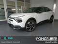 Citroen C4 PureTech 130 EAT8 Shine Weiß - thumbnail 1