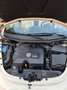 Volkswagen New Beetle New Beetle Cabrio 1.9 tdi 105cv Beige - thumbnail 15