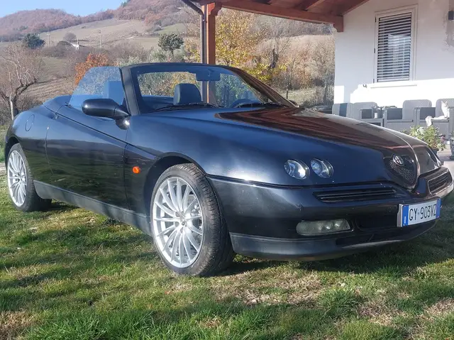 Alfa Romeo Spider