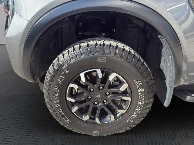Ford Ranger Doppelkabine Wildtrak X e-4WD 2,0 EcoBlue Aut Ansicht 25