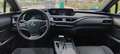 Lexus UX 250h UX 250h Business 2WD Business - thumbnail 7