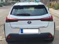 Lexus UX 250h UX 250h Business 2WD Business - thumbnail 6