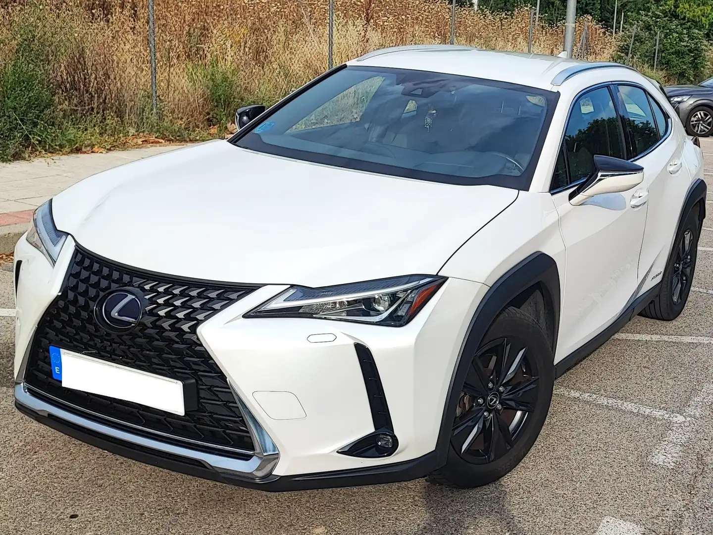 Lexus UX 250h UX 250h Business 2WD Business - 2