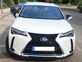 Lexus UX 250h UX 250h Business 2WD Business - thumbnail 1