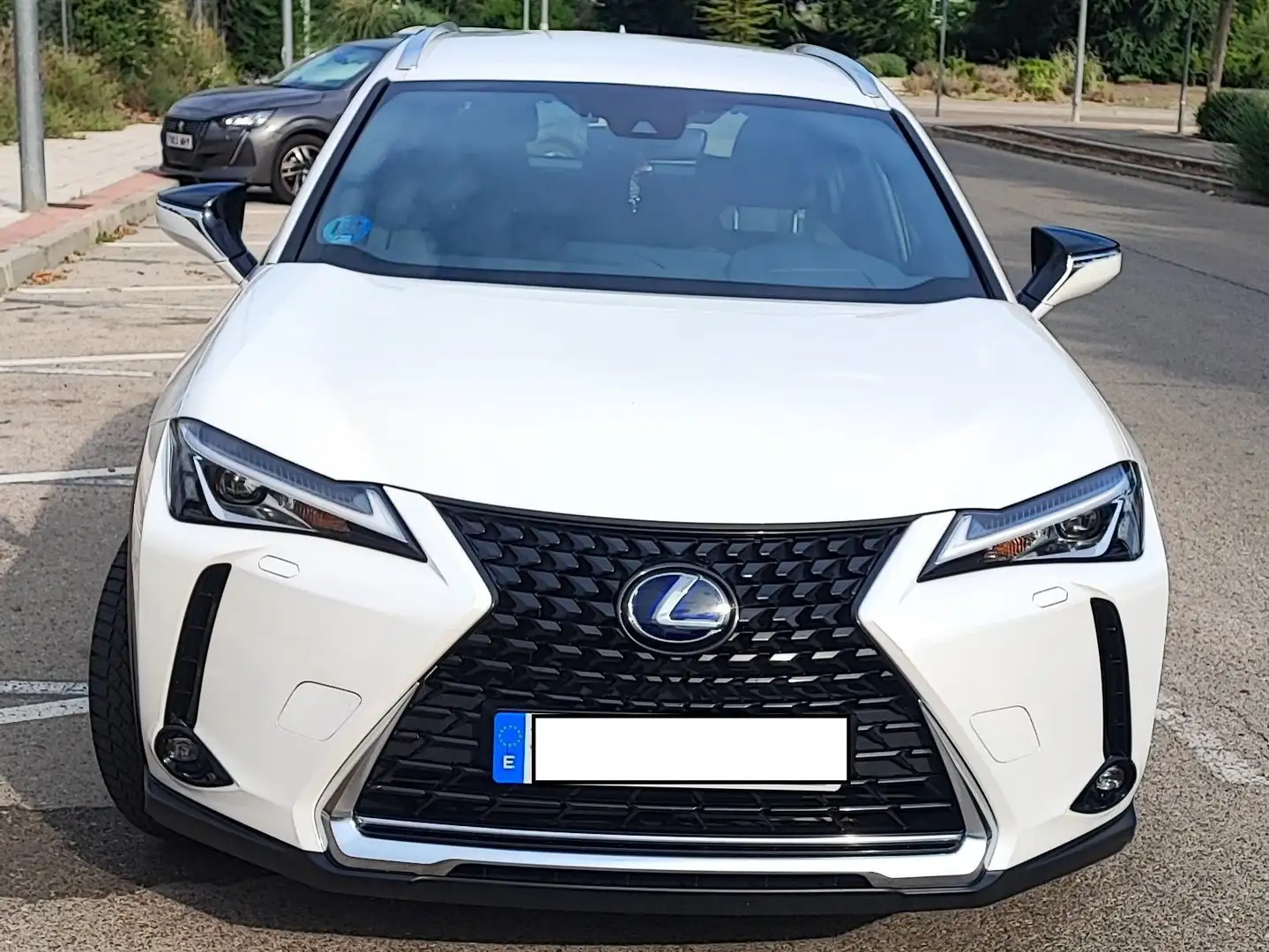 Lexus UX 250h UX 250h Business 2WD Business - 1