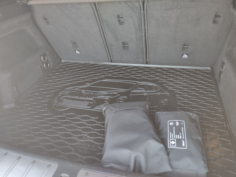 BMW X2 xDrive 20 d Advantage Plus AHK / Business / N — photo 12