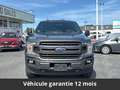 Ford Ethanol SuperCrew 4x4 Tout compris hors homologati Сірий - thumbnail 6