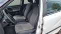 Skoda Fabia 1,2 Benzin + LPG Gas Klima Blanc - thumbnail 13