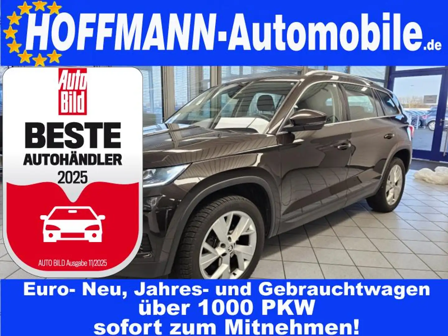 Skoda Kodiaq Style App-Connect,Sitzheizung,PDC,19 Zoll Braun - 1