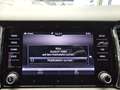 Skoda Kodiaq Style App-Connect,Sitzheizung,PDC,19 Zoll Braun - thumbnail 16