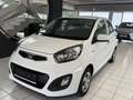Kia Picanto Titan Weiß - thumbnail 1