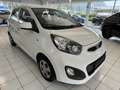 Kia Picanto Titan Weiß - thumbnail 6