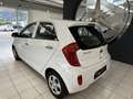Kia Picanto Titan Weiß - thumbnail 3