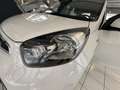 Kia Picanto Titan Weiß - thumbnail 16