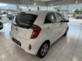 Kia Picanto Titan Weiß - thumbnail 5