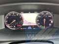 CUPRA Formentor 2.5TSI VZ5 4Drive OPF DSG Leder Panorama Grau - thumbnail 17